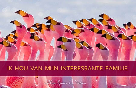 Ik hou van mijn interessante familie.