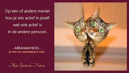 Abraham Hicks en de wet van aantrekking.
