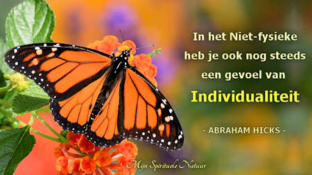 Abraham-Hicks,in het Niet-fysieke heb je ook nog een gevoel van individualiteit.
