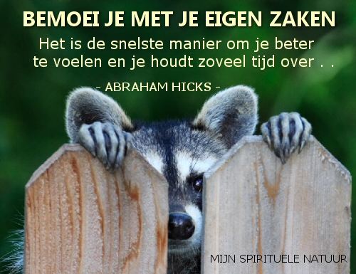 Bemoei je met je eigen zaken. Het is de snelste manier om je beter te voelen.